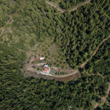 Dream House Capturing The Magic Of Nature Vlachia Eksteriør billede