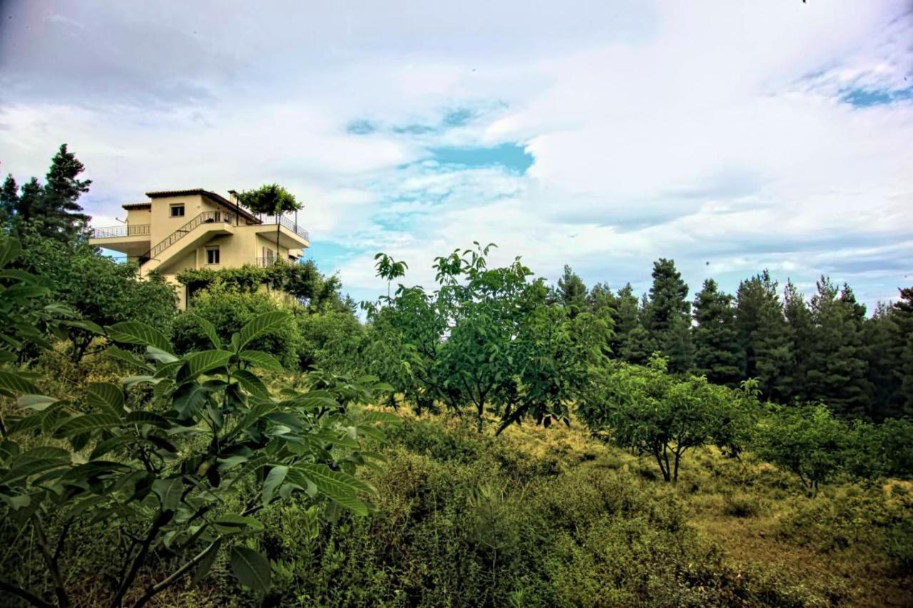 Dream House Capturing The Magic Of Nature Vlachia Eksteriør billede
