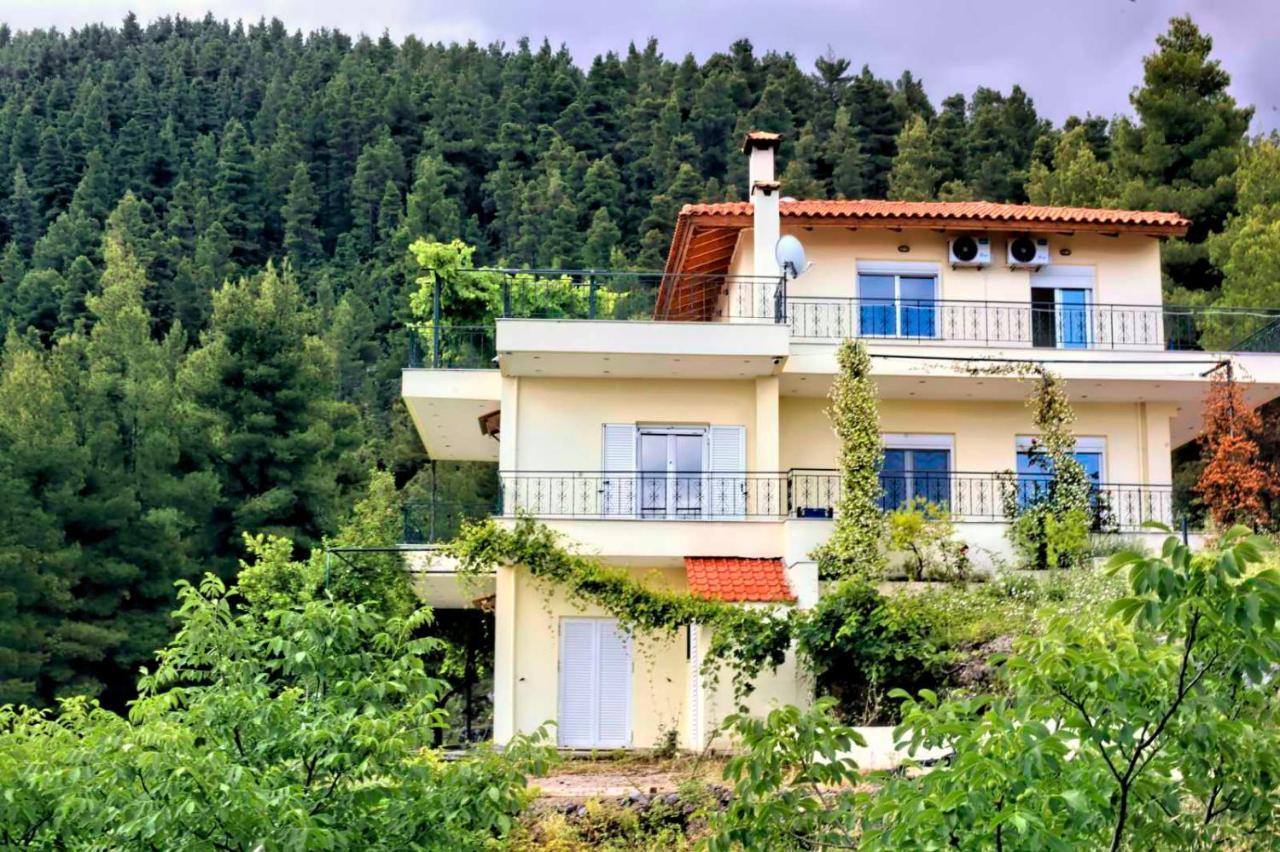 Dream House Capturing The Magic Of Nature Vlachia Eksteriør billede