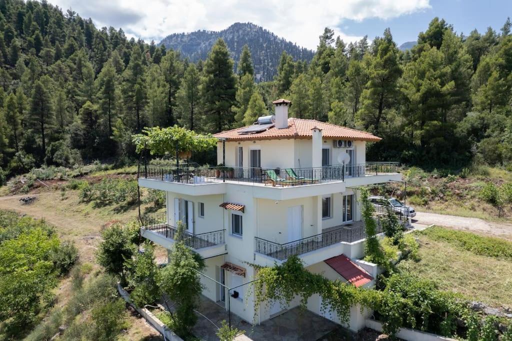 Dream House Capturing The Magic Of Nature Vlachia Eksteriør billede