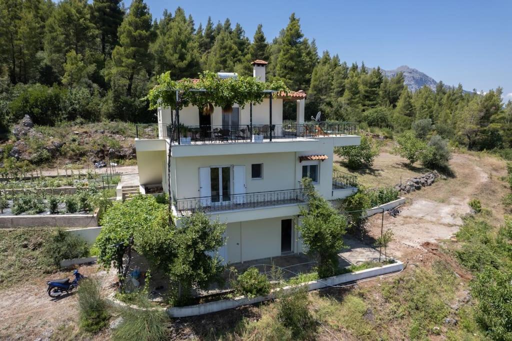 Dream House Capturing The Magic Of Nature Vlachia Eksteriør billede