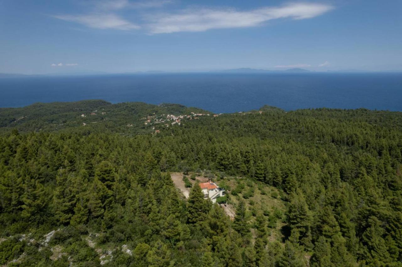 Dream House Capturing The Magic Of Nature Vlachia Eksteriør billede