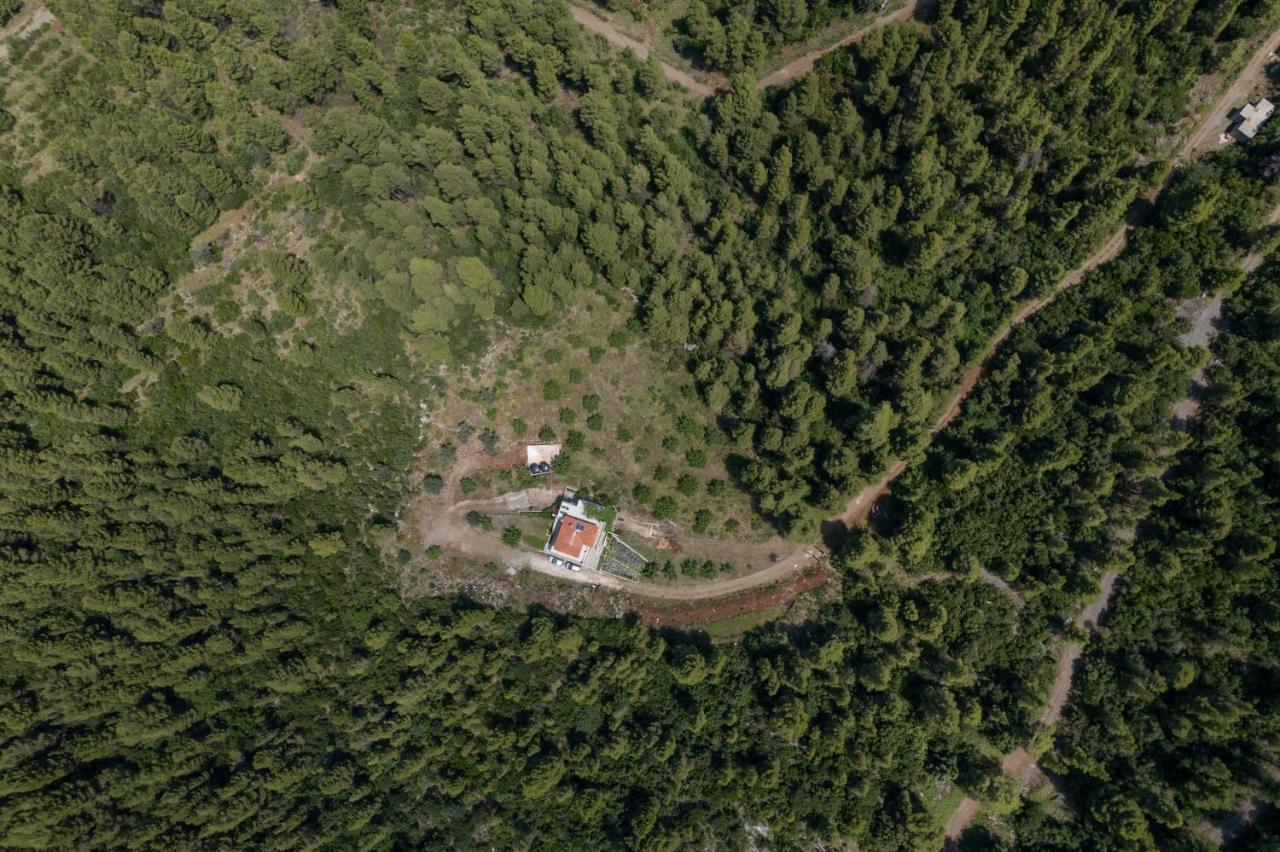 Dream House Capturing The Magic Of Nature Vlachia Eksteriør billede